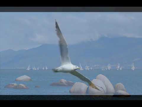 Slavko Avsenik  - Der Wind bringt dir mein Lied