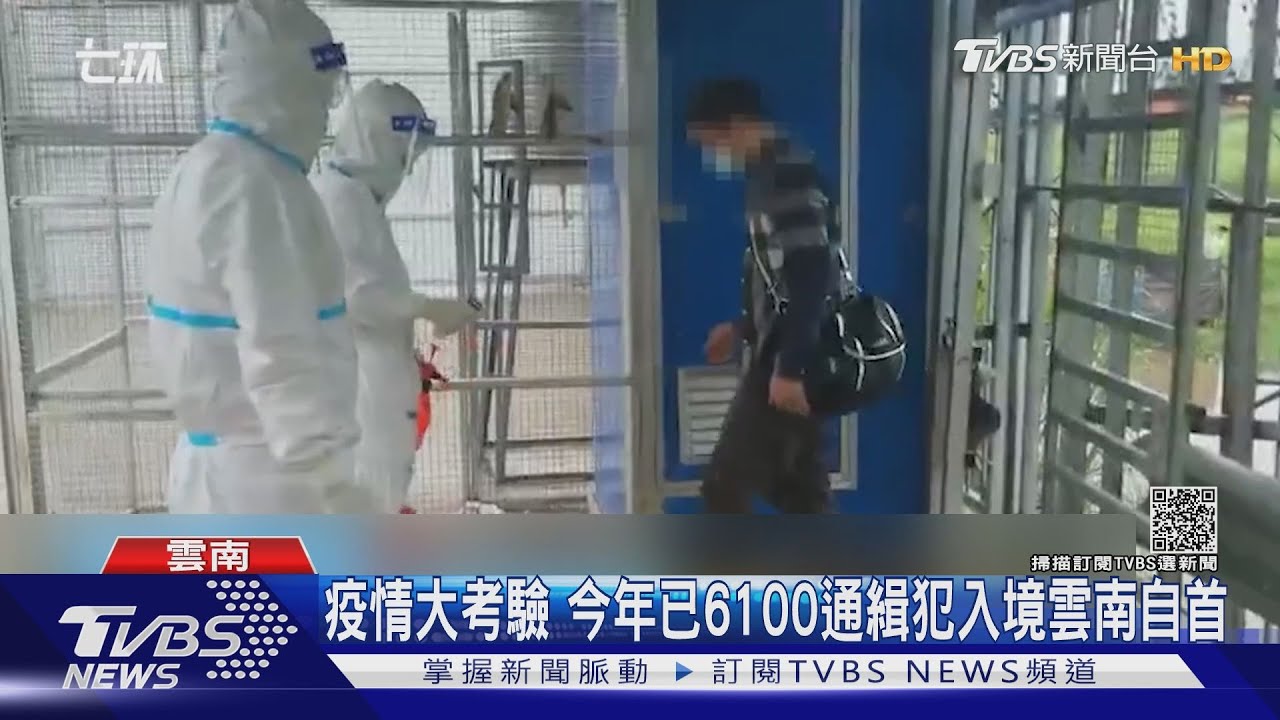 疫情大考驗　今年已6100通緝犯入境雲南自首