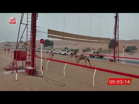 الشوط 2 (مهمه) لـ سعيد منانه بن غدير الكتبي 8:05 , شارة الديوان 2025/10/26 ايذاع اللبسه 
