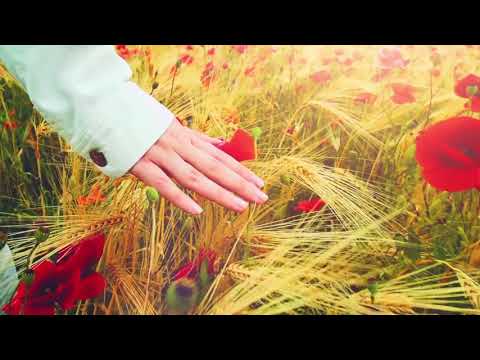 Alin si Emima Timofte - Priveste doar la Isus (Lyric Video)