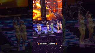 PITBULL ENFLAMME NICE 🔥