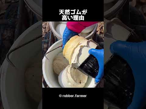 天然ゴムが高い理由