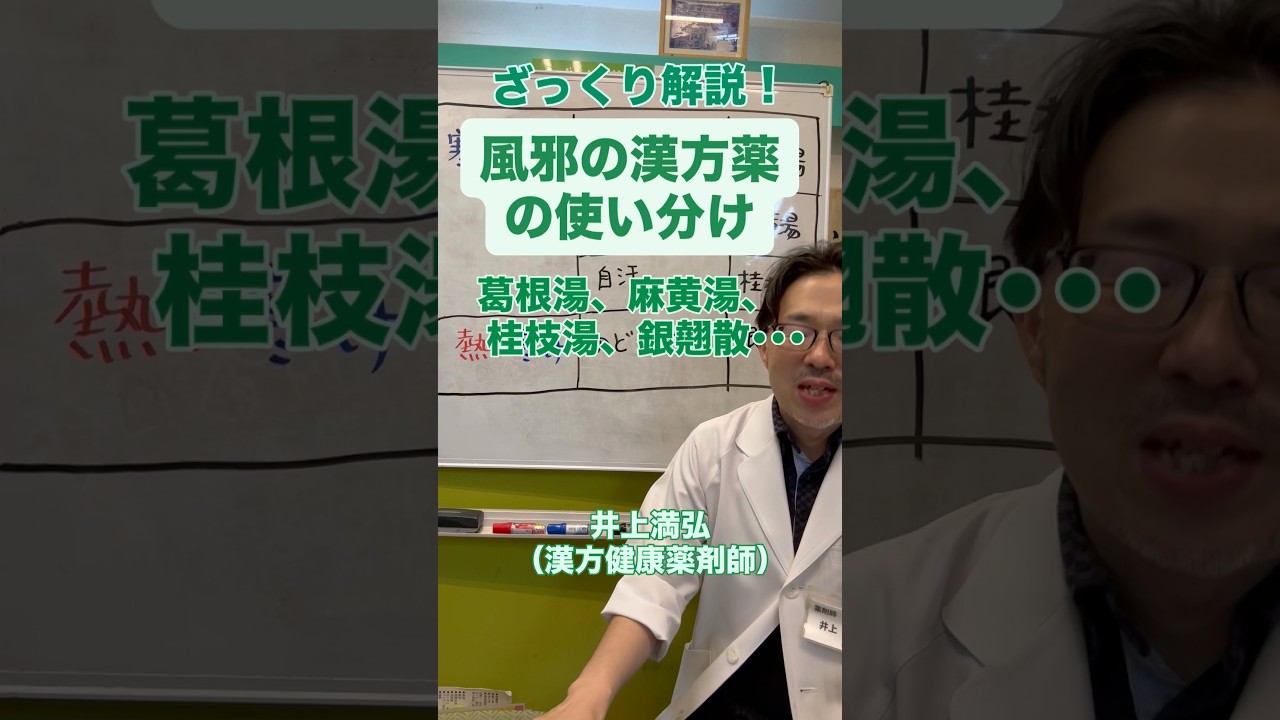 風邪の漢方薬の使い分けをざっくり解説しました