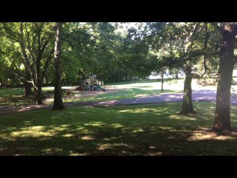 The view from the lower picnic area.