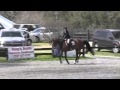 Video of Ladonna ridden by Abigail Hopkins from ShowNet!