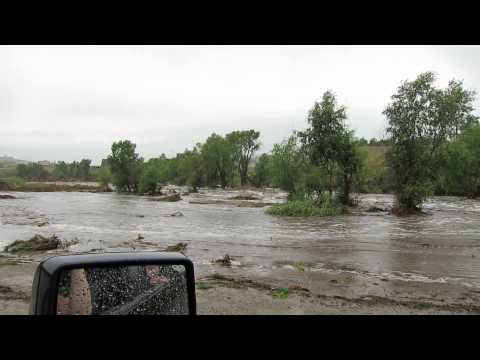 Little Thompson Flood Removing Trees 2