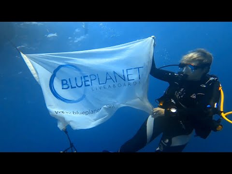 Red Sea 2022 North Tour