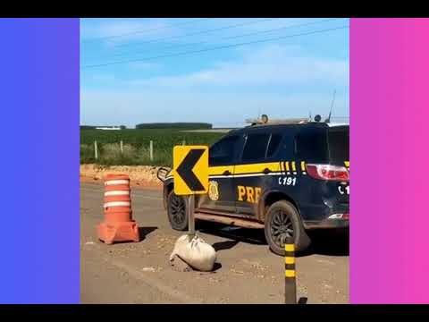 Farmacêutico morre após carro capotar na BR-163 em Lucas do Rio Verde