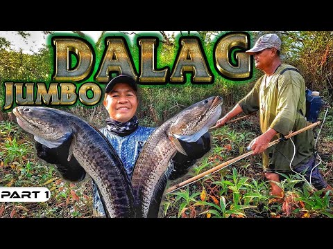 EP891-P1 - Electric Fishing in a Private Property