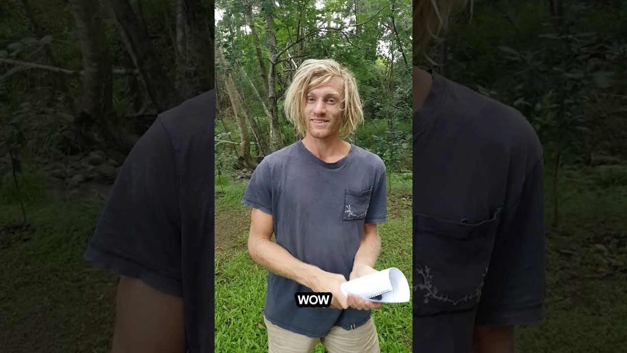 𝗡𝗲𝘄 𝗗𝗼𝗺𝗶𝗲𝘀 𝘀𝘁𝗮𝗿𝘁𝗶𝗻𝗴 𝘁𝗵𝗲𝗶𝗿 𝗷𝗼𝘂𝗿𝗻𝗲𝘆: