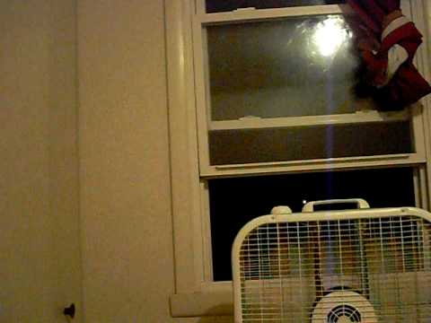 The rayne in spayne.