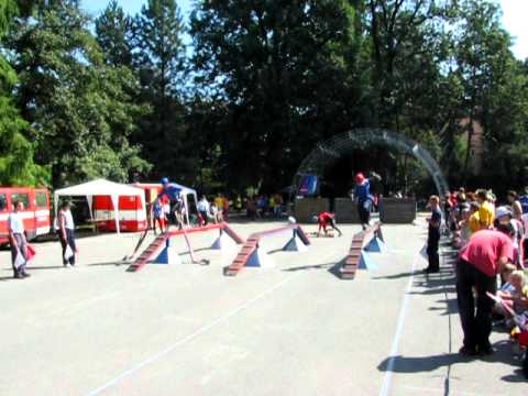 3 9  Olomoucký drak Michal Lejska