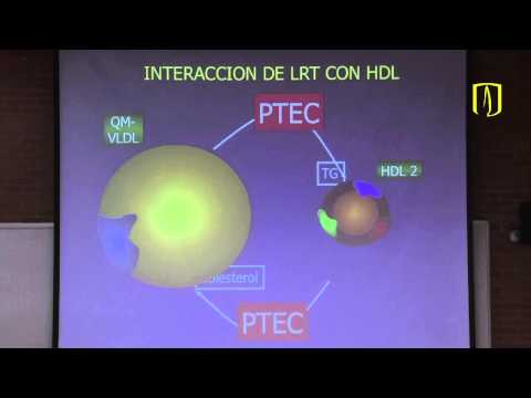 Metabolismo de lípidos - Bioquímica médica