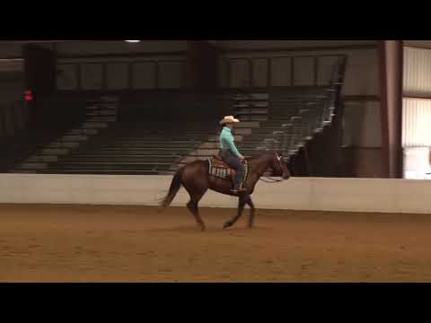 180408 Reagan Godwin on Lady Witha Pistol G1