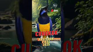 Download lagu CUNGKOK MASTERAN VIRAL 2025 mp3