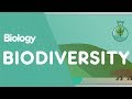 What Is Biodiversity Ecology Environment Biology FuseSchool