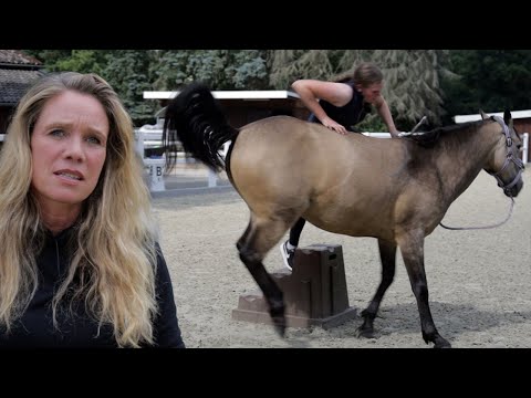 Pferd weiss wie man sich Reiter fern hält - Aufsteigen unmöglich | Dominante Stute im Check
