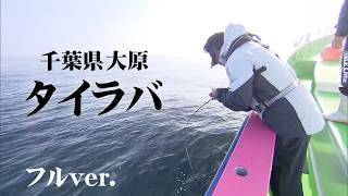 マダイ・タイの釣果写真