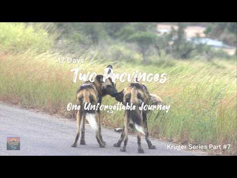 Kruger Series 2026 Part 7 - Satara to Lower Sabie Kruger National Park