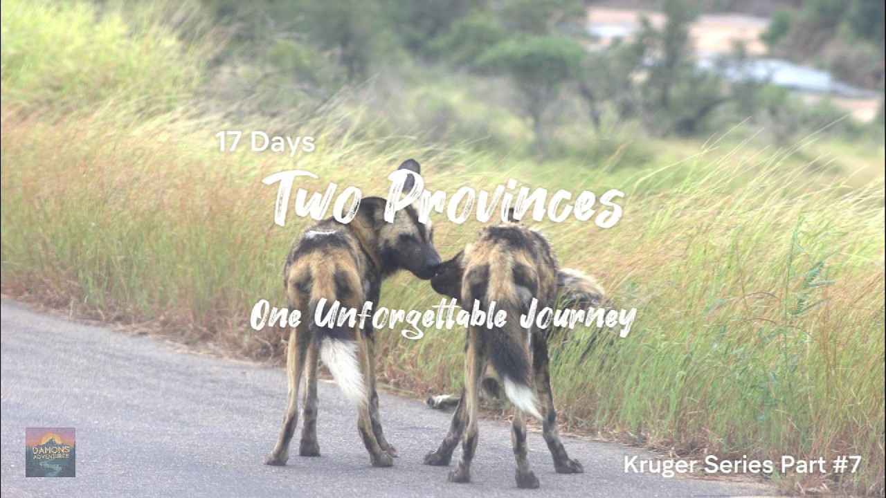 Kruger Series 2026 Part 7 - Satara to Lower Sabie Kruger National Park