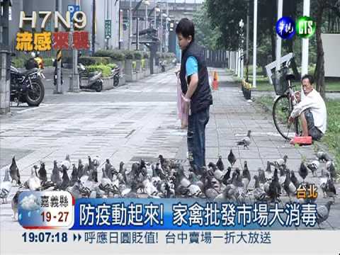 防堵H7N9! 市場.養雞場擴大消毒