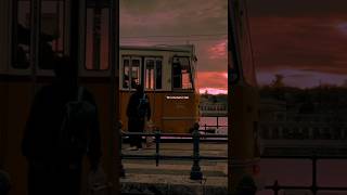 Meri Kahani Meri Zubani&quot;Song❤️‍🩹🥀Teri Kahani Hai Meri Zubani Hai Kaise Kahu Kuch Bata 😩🍃 #sadstatus