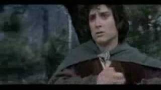 كلمات اغنية ياصاحبى حميد الشاعري