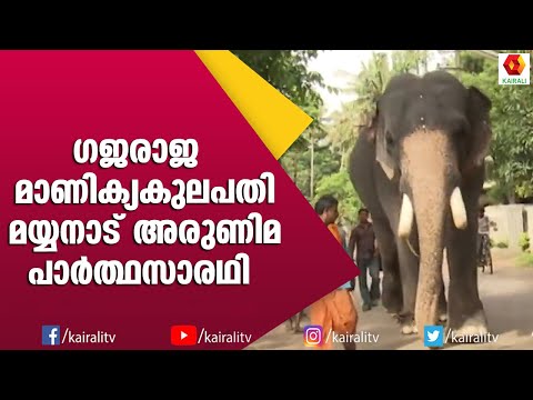 kairali we show screenshot 