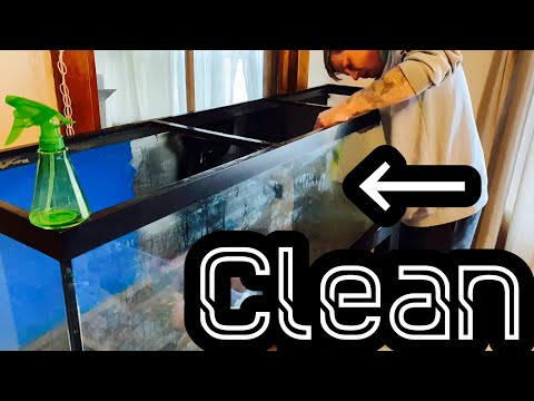 Clean Old Aquarium Glass - Mineral Buildup & Stains