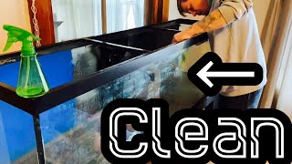 Clean Old Aquarium Glass - Mineral Buildup & Stains