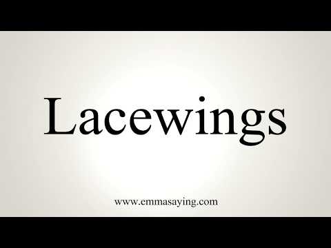How To Pronounce Lacewings