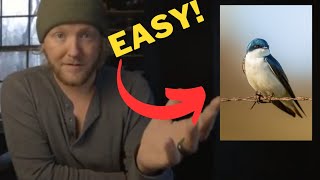 Simple Photos You Can Take Today!
