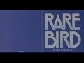 rare bird - what you want to know 