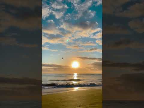 Beach sunrise ☀️ #beach #beachlife #goa #sunrise #trending #trendingshorts #viralvideo #shorts