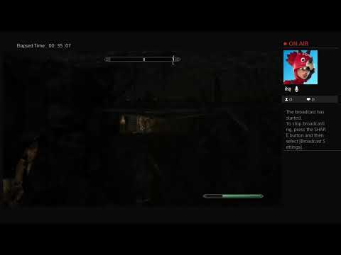 Skyrim Competition playthrough with Mango-Marauder08