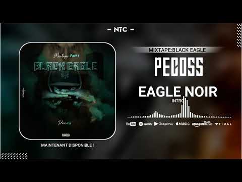 (01).PECOSS - EAGLE NOIR "INTRO" (BLACK EAGLE 1ère PARTIE)