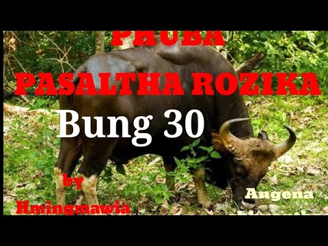 PHUBA PASALTHA ROZIKA 30