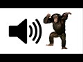Monkey Sound Effect