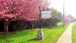 preview picture of video 'Blawenburg (Montgomery Township, New Jersey) Historic District Road Signs'