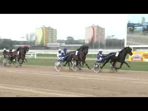 2018.04.07. 8. futam - DIÓS DÍJ