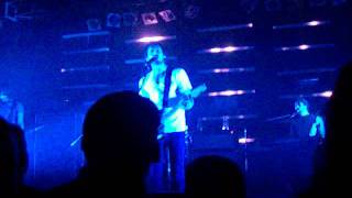 Lions of the Kalahari - Sam Roberts