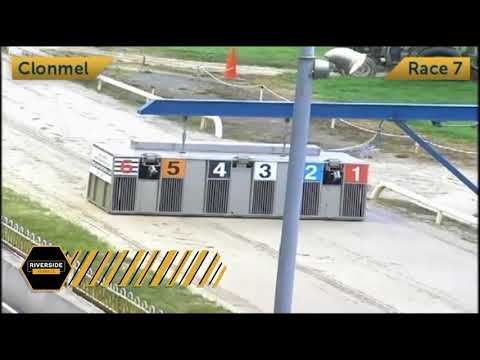 Doolin Duke - Larry O'Rourke National Produce Stakes Rnd 2