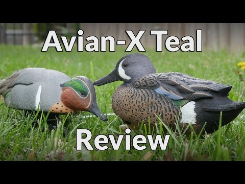 Avian X Teal Decoys Review