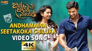 Andhamaina Seetakoka Chiluka Full Video Song | Bellamkonda Sreenivas | Rakul Preet | DSP