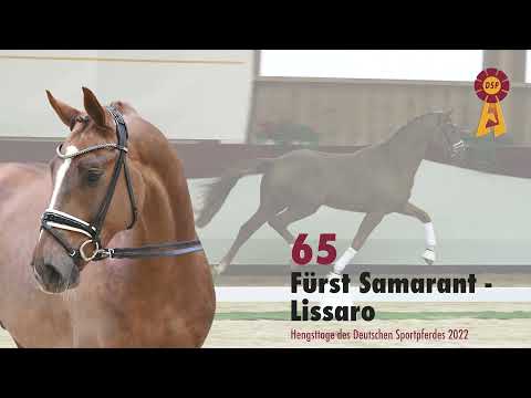 Lot 65: Hengst v. Fürst Samarant/Lissaro