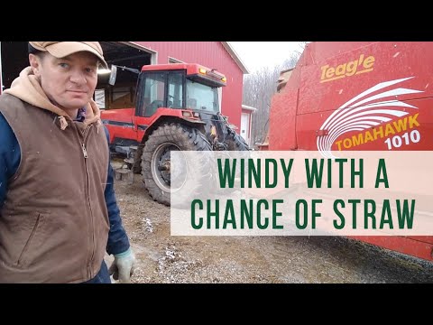 Windy with a Chance of Straw: Bedding Livestock with a Straw Shooter- vlog #23