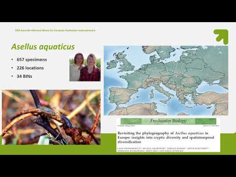 2021 03 09 PM O Mamos