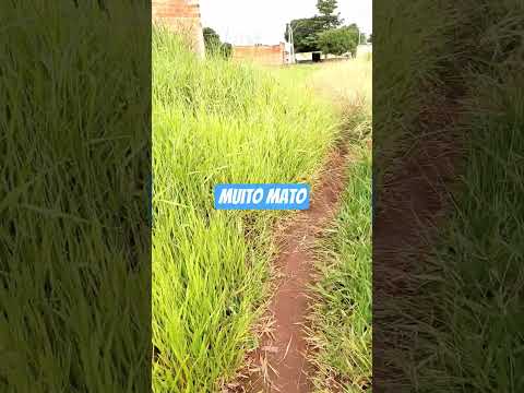 muita chuva em muito mato em senador canedo Goiás