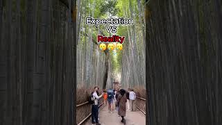 Download lagu Expectations VS Reality - Japan Kyoto Arashiyama Bamboo Forest | 京都 #shorts #solotravel mp3