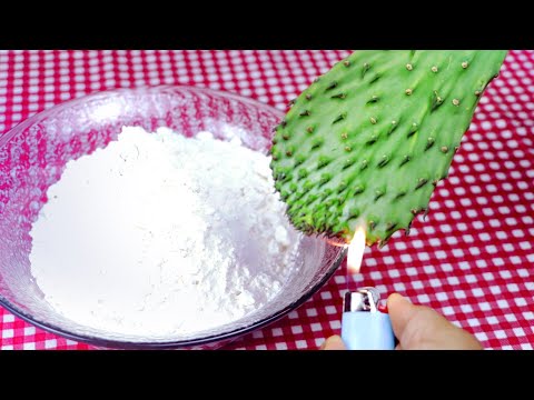 Mix FLOUR with CACTUS 🌵 Pita bread recipe (Simply So Healthy)